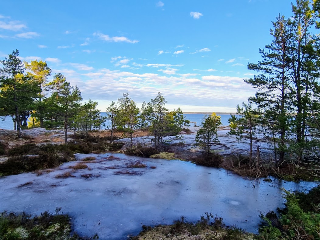 Tallparken vintertid