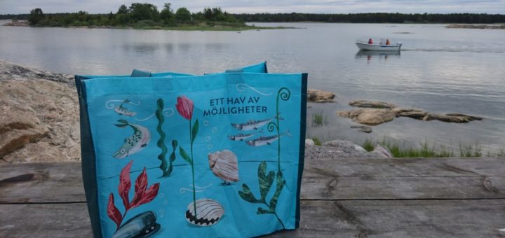 Politisk motion: Östhammars kommun behöver en skärgårdslots!