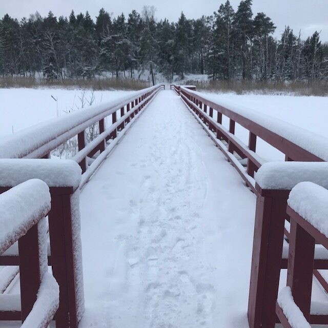 Tallparken från tre perspektiv