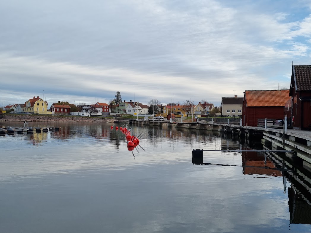 Uppehåll i regnandet och en gnutta solsken
