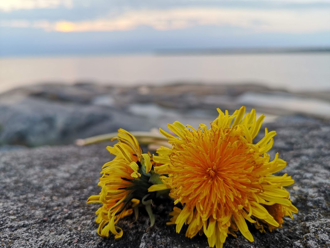 ”Det finns ju inget att göra här”