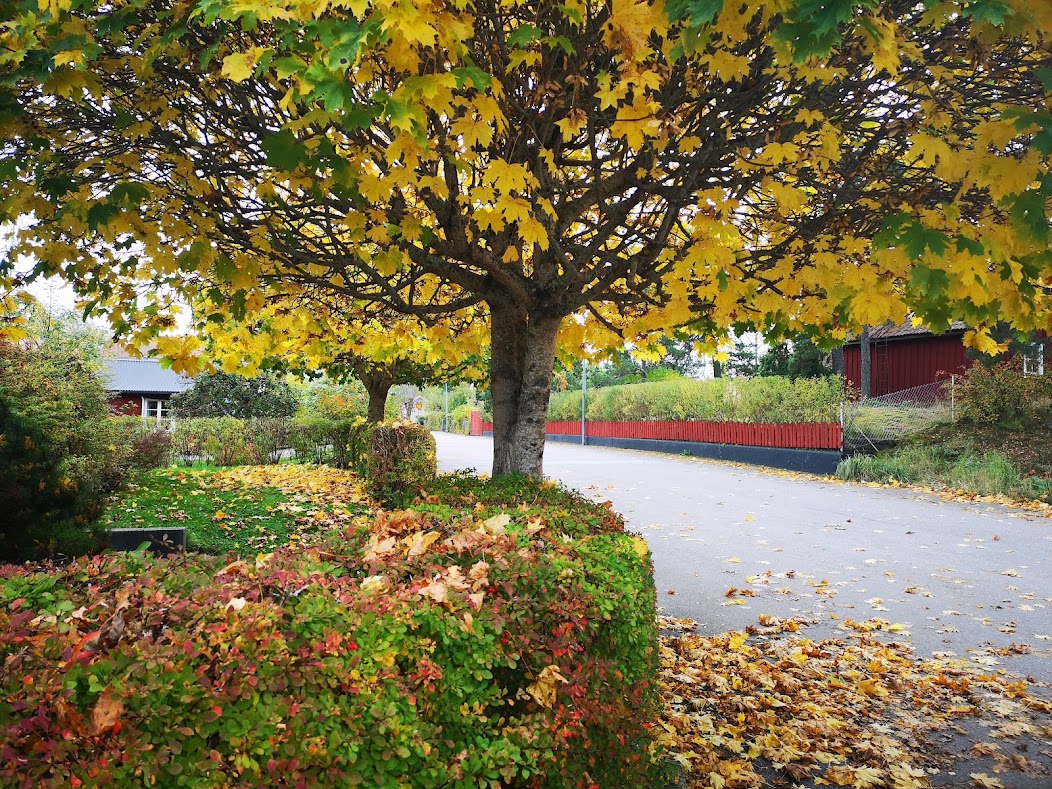 Skön söndag i Öregrund