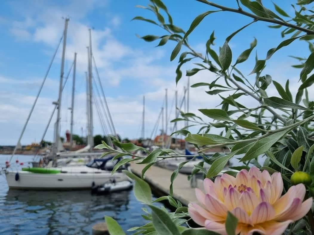 Slut på juli med några bilder