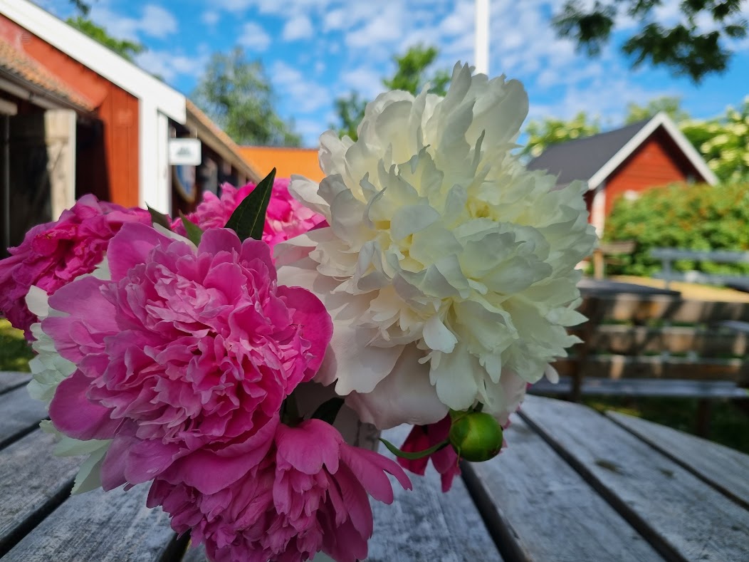 Midsommaraftonen går mot sitt slut