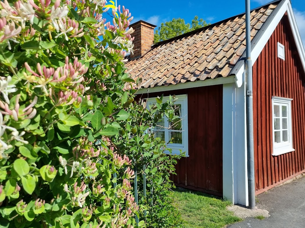 De bättre delarna av Öregrund – där finns blommor