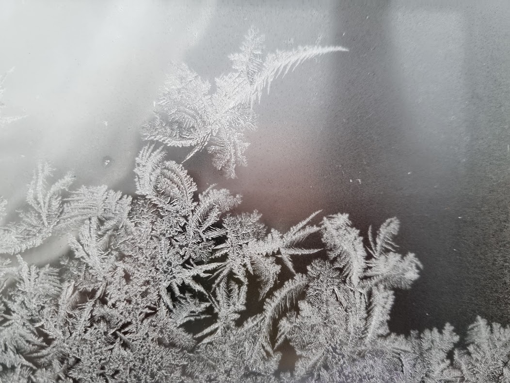 Frost och orange solnedgång