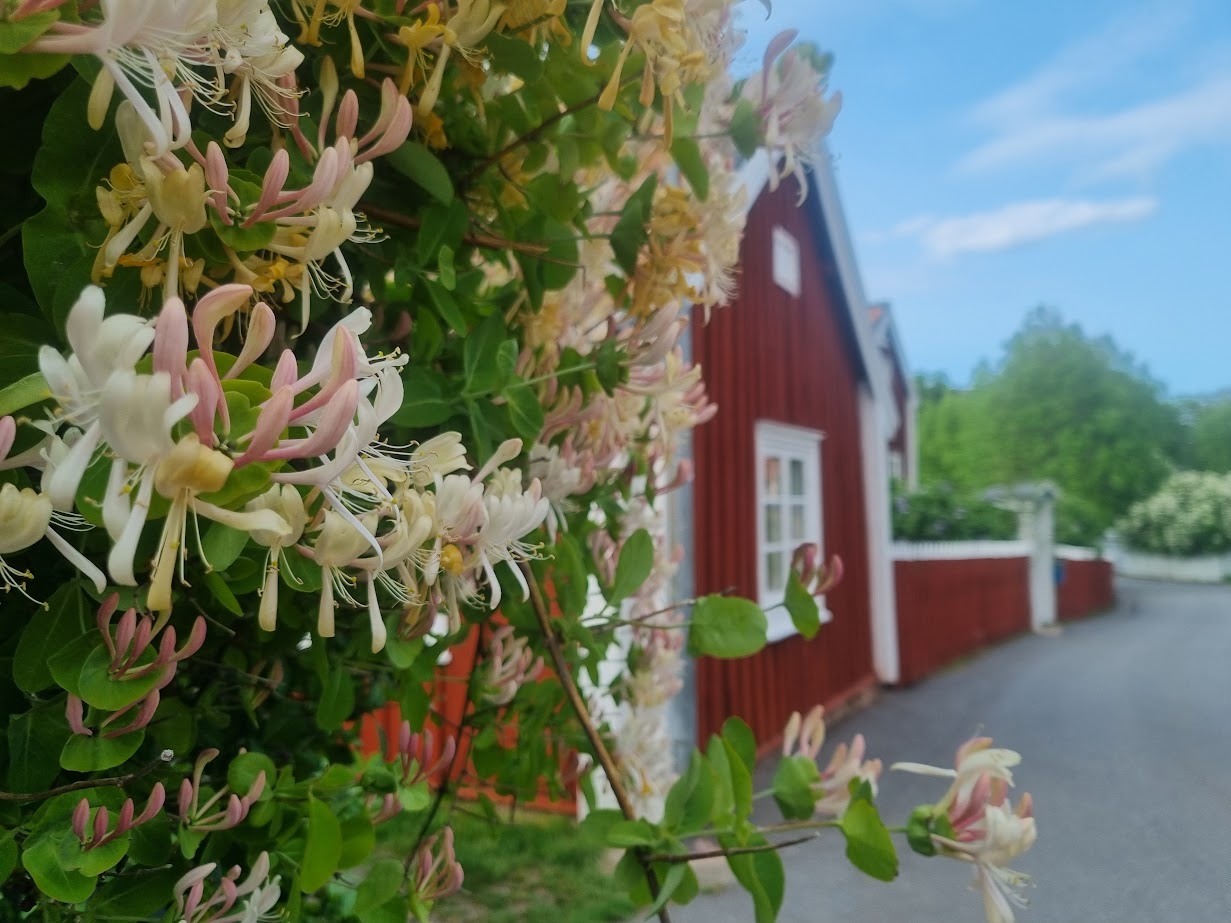 Är det sommar nu? På riktigt?