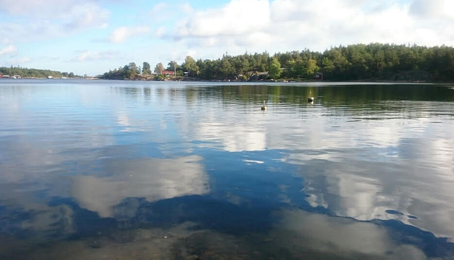 Befolkningsutveckling på Gräsö och i skärgården