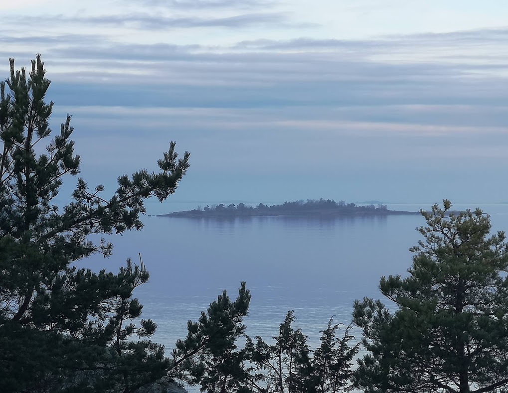 Välbesökta Tallparken