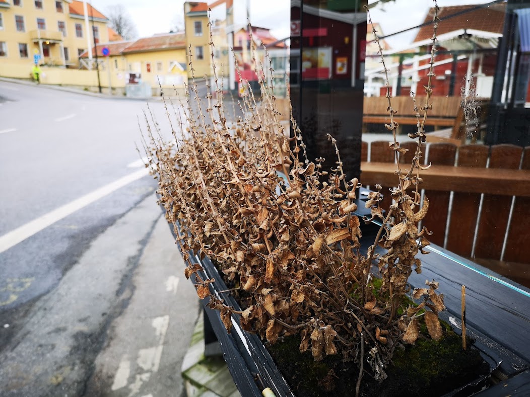 Utställningen ”Vissna blommor och presenningar” visas på Hamntorget fram till våren 2022