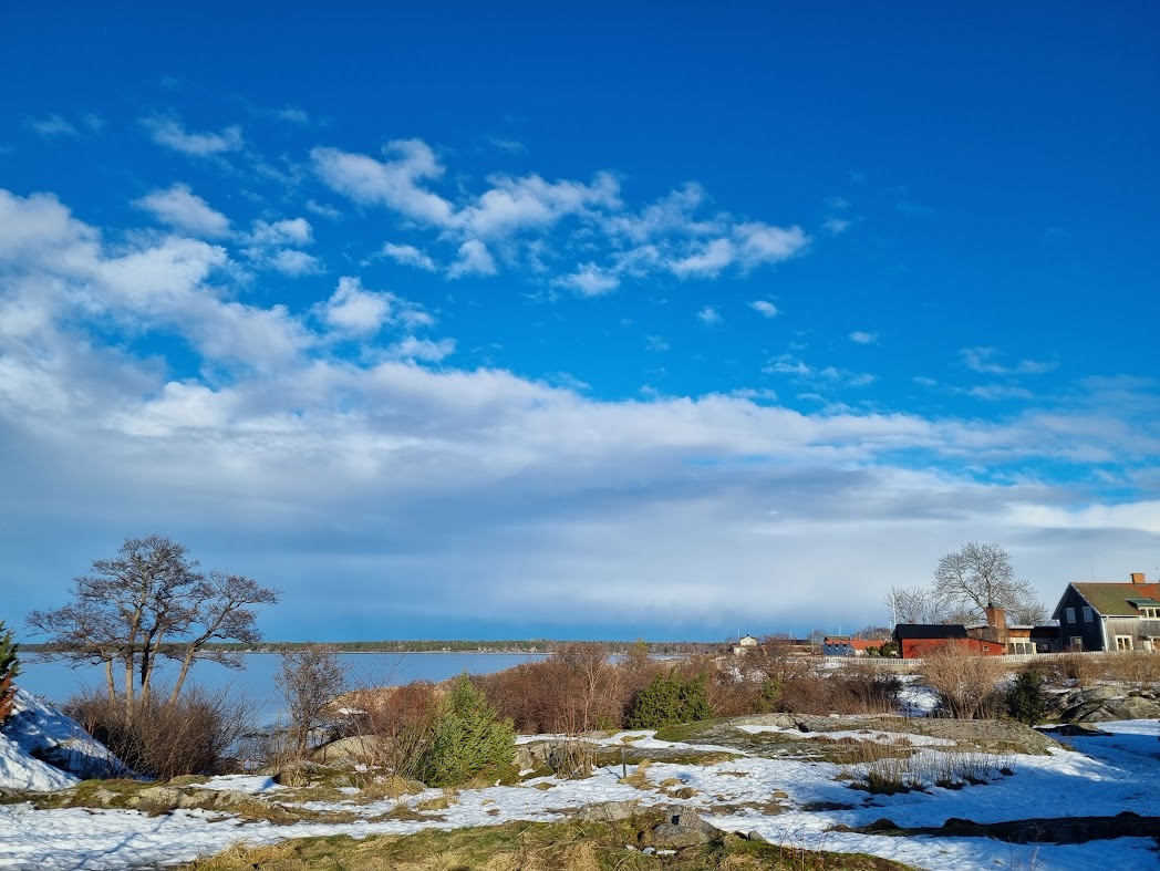 1 februari med snödroppar