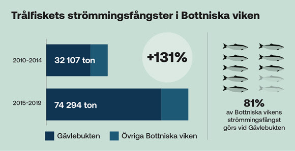 BalticWaters2030: Sverige kan flytta ut trålgränsen, men politisk vilja saknas
