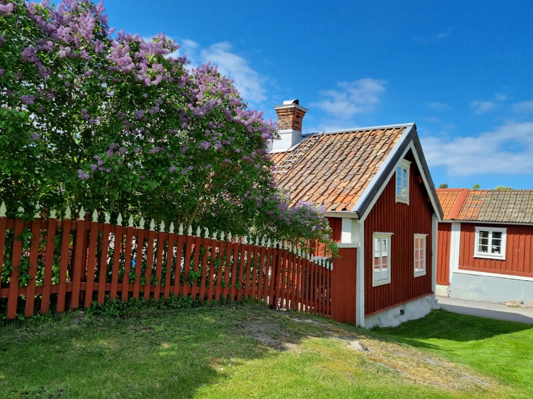 Soligt men kallt 26 maj