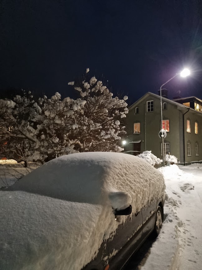 Insnöad med hemsk bok