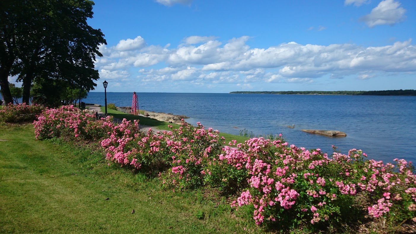 Östhammars kommun förstör Öregrund – bara för att de vill och kan