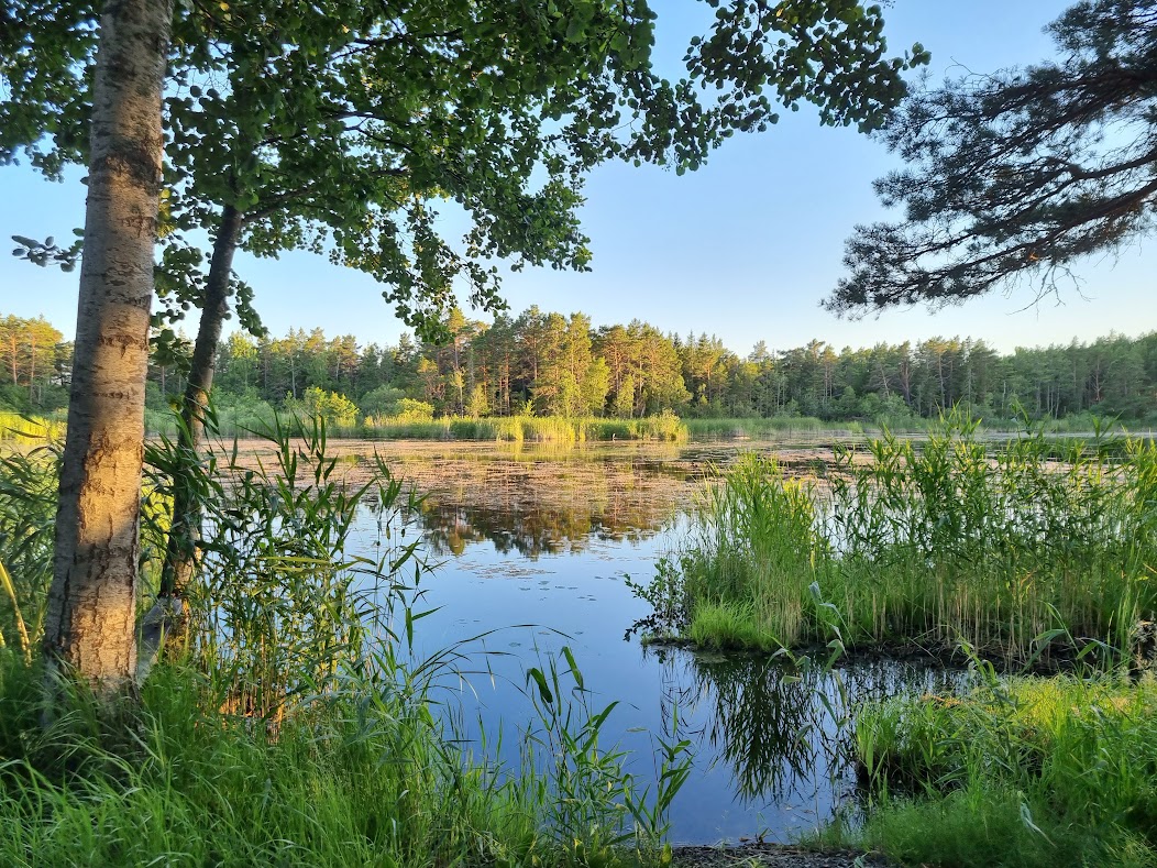 Hummelfjärden har upphöjts till  ”Smultronställe” av Upplandsstiftelsen