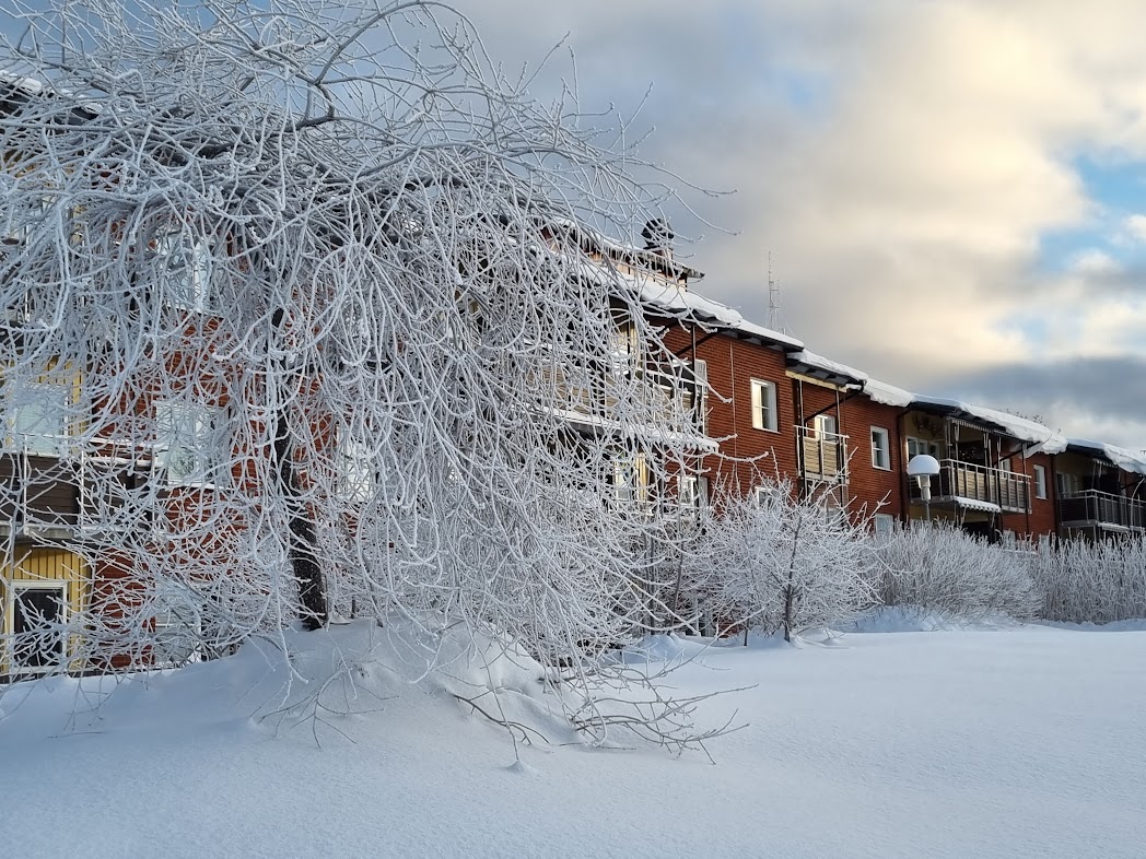 Rimfrost hela dagen