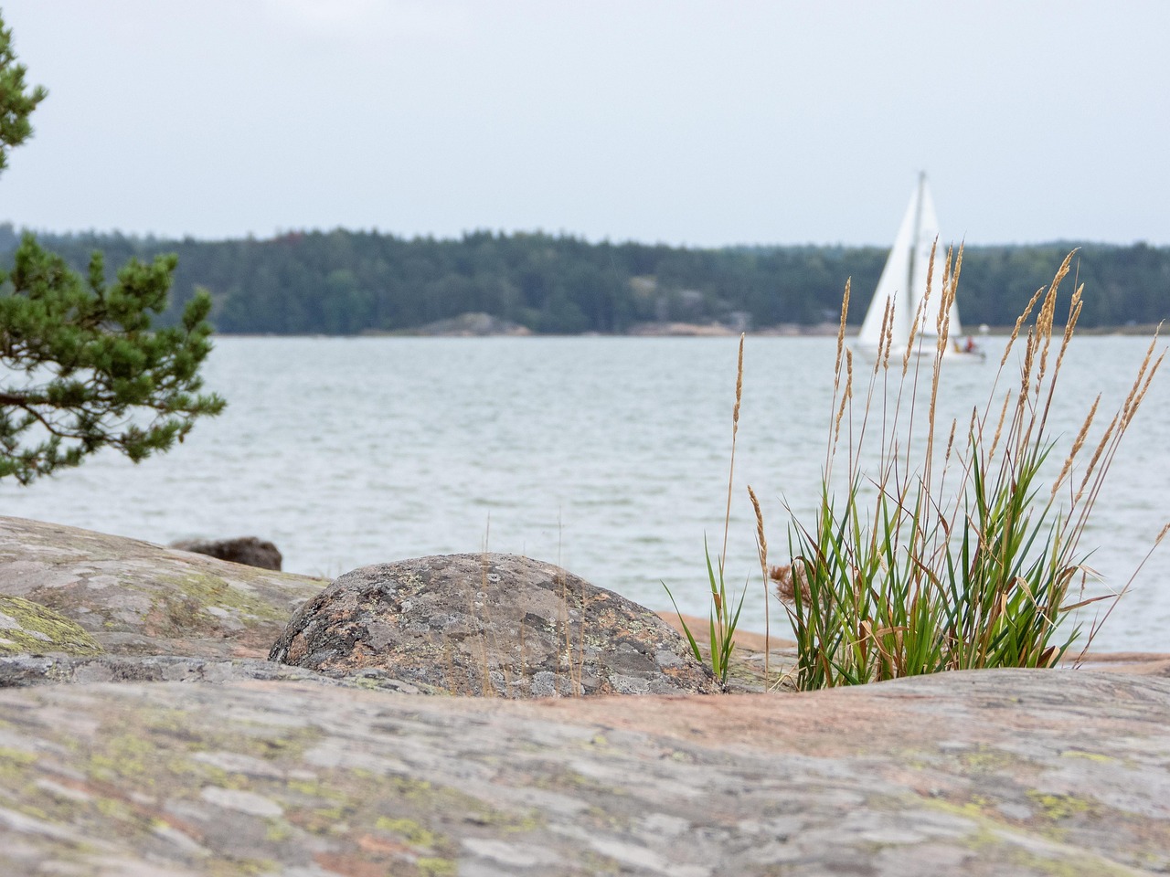 Sommarbefolkning som vill bevara ’sin’ skärgård som ett Skansen och museum