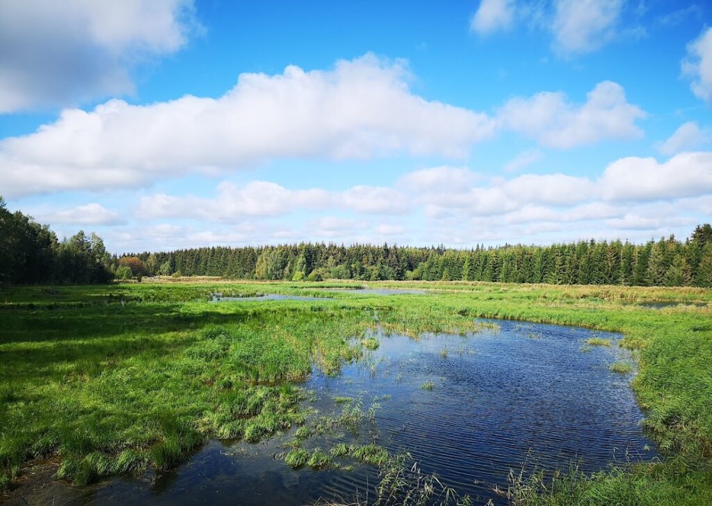 Var ska Östhammars nya reningsverk byggas? Vid Karö våtmark? Mellan Öregrund och Östhammar?