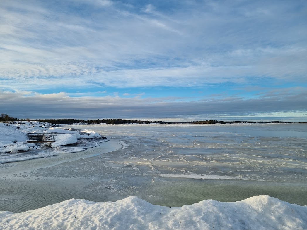 Vid Västerhamn 12 januari