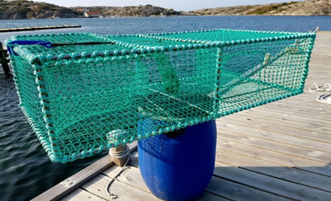 Ny forskningsartikel med Öregrundskoppling: Burfiske i det småskaliga, kustnära yrkesfisket