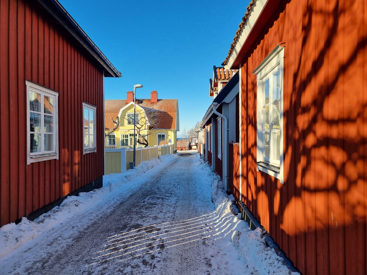 Sol! Promenadbilder 28 januari