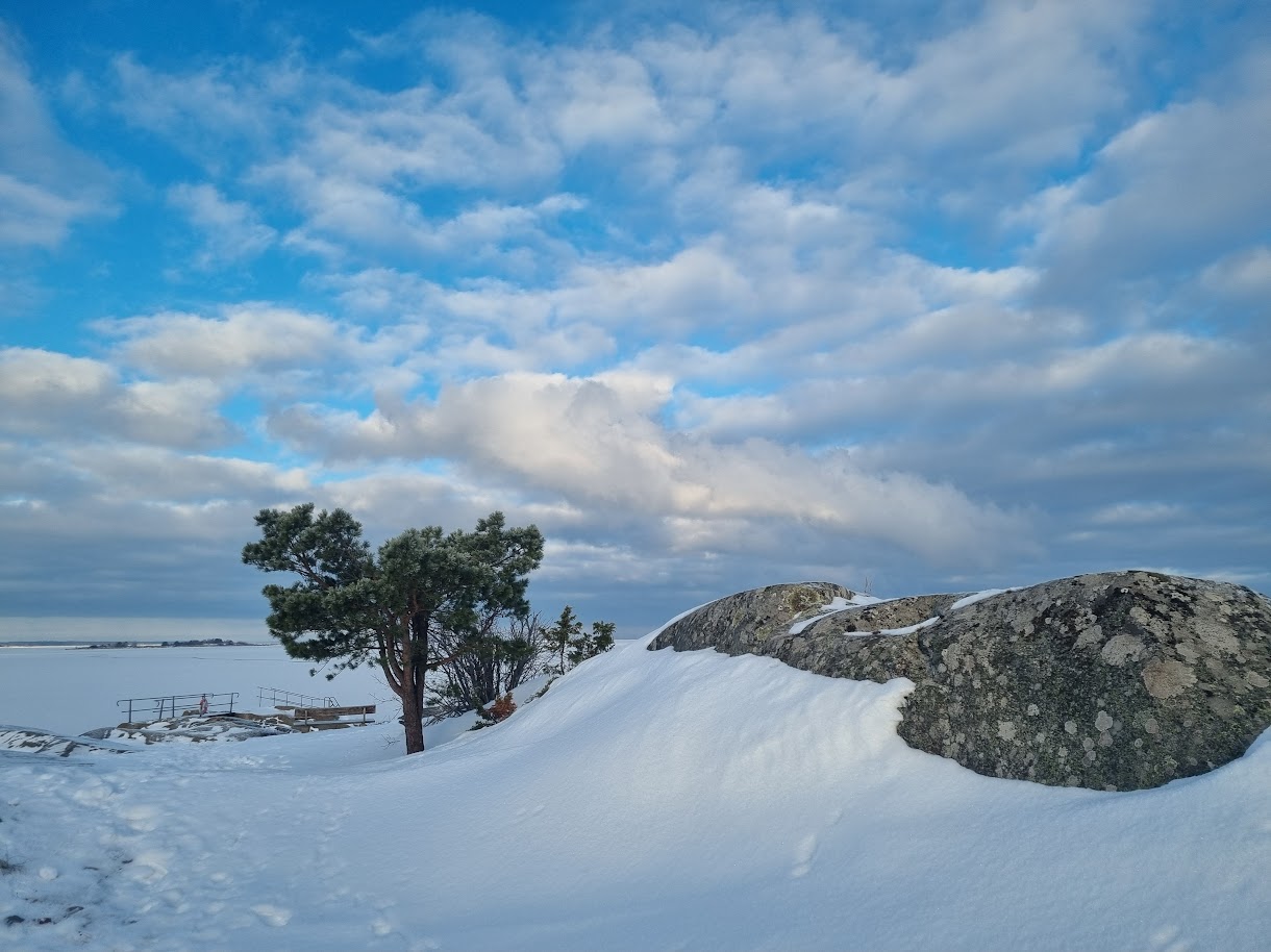 Isrosor och isfjädrar och 17 grader kallt