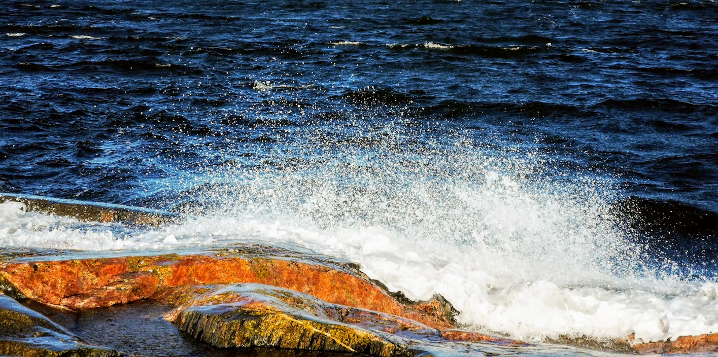 22 april: Moder Jords dag – webbinarium sänds från Öregrund – ”Kyrkan och skogen – vad händer nu?” Anmälan senast 18 april