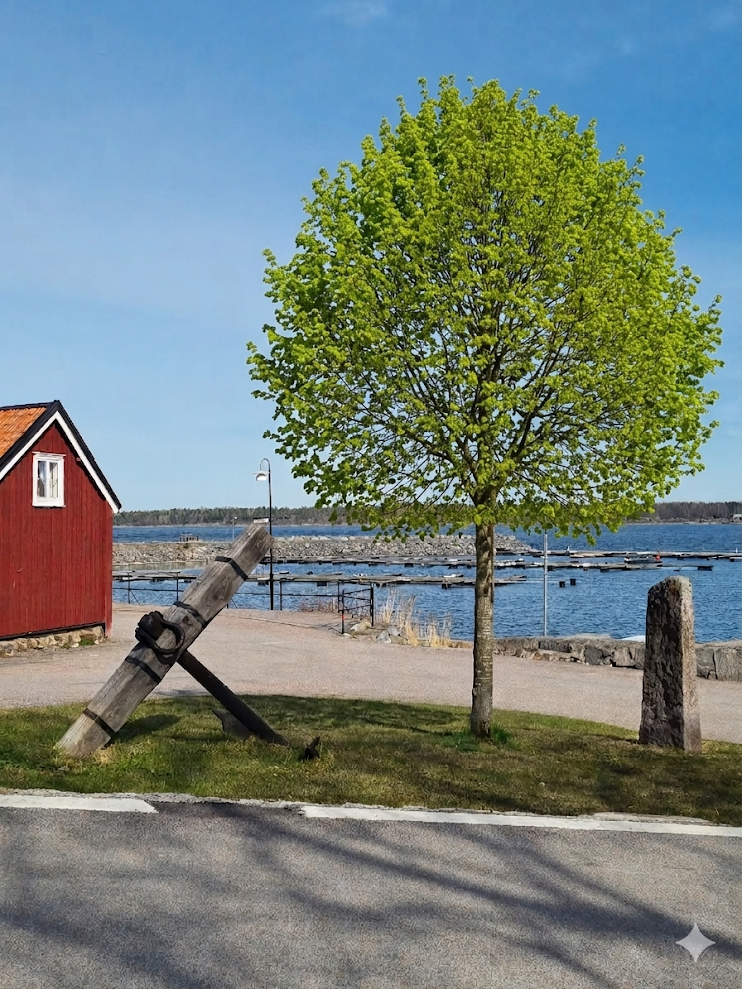 Vi har planterat ett lind-träd vid Lubbe Nordström-platsen