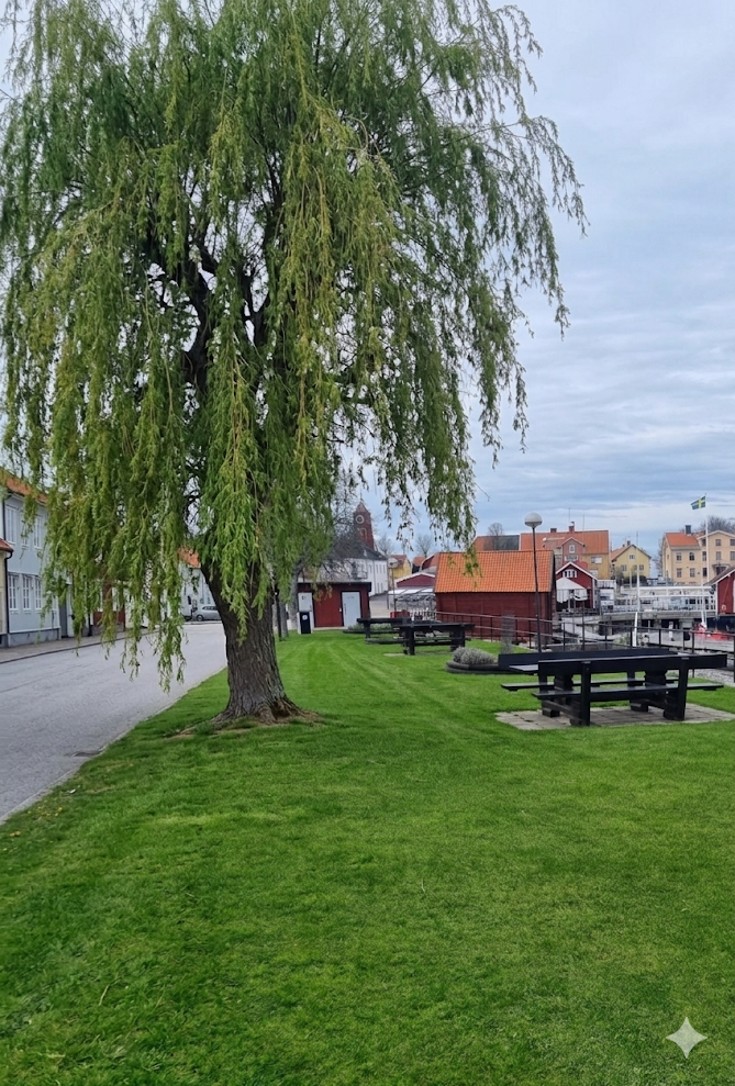 Hamngatan och Fyrskeppsudden har fått vård av AI-appen Gemini