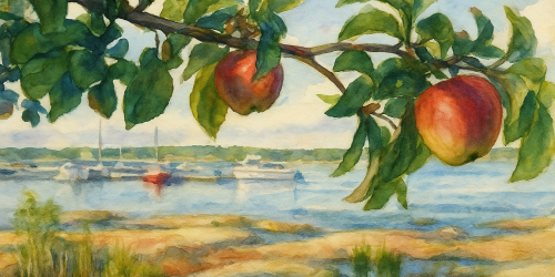 a5