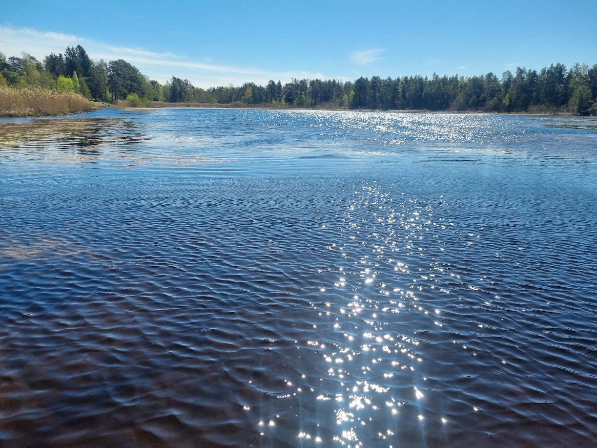 Underskön förmiddag vid Hummelfjärden och i Tallparken