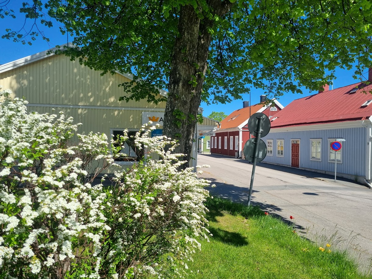 Bästa tiden på året – maj!