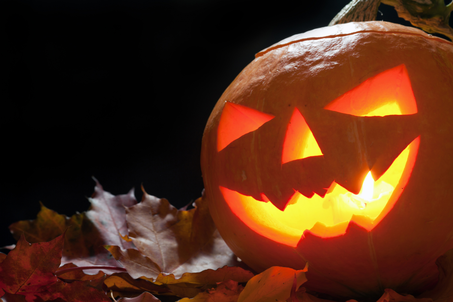 29 oktober i parken Storbrunn Östhammar: Halloween kväll för barn och ungdomar 10-18 år